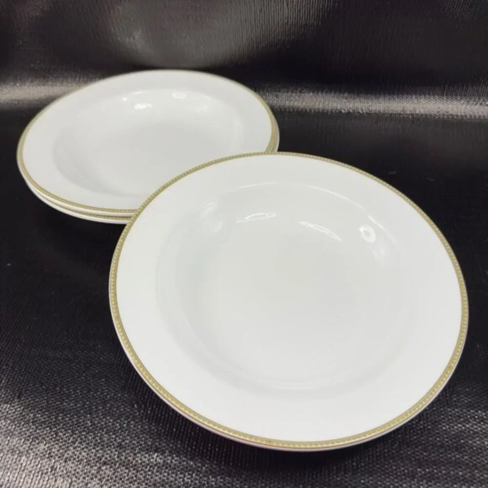 Fortessa Decorated Edges Deep Dish Bowl 9inch Porcelain Dishes Bowls Set 3 VTG‎